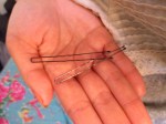 These are french pins.  They do not pull or tease hair.  They work by weaving through different layers of hair!