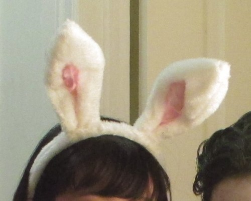 This is the only item you really need to buy, since making it may be difficult! Super fuzzy and cute!